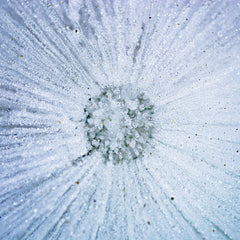 Snow from Yesterday (OLIR4)