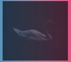 Dance With The Ghosts Quartet (SWR143)