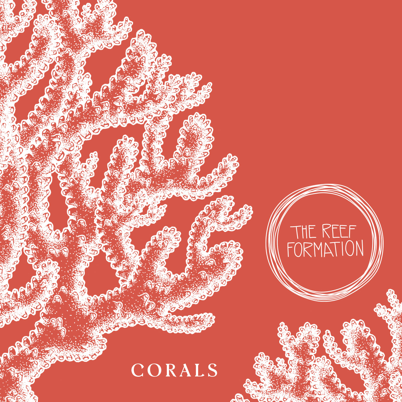 Corals (SWR103)